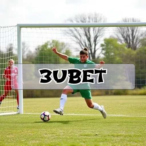 3ubet: Cadastro Rápido para Apostadores que Buscam Praticidade
